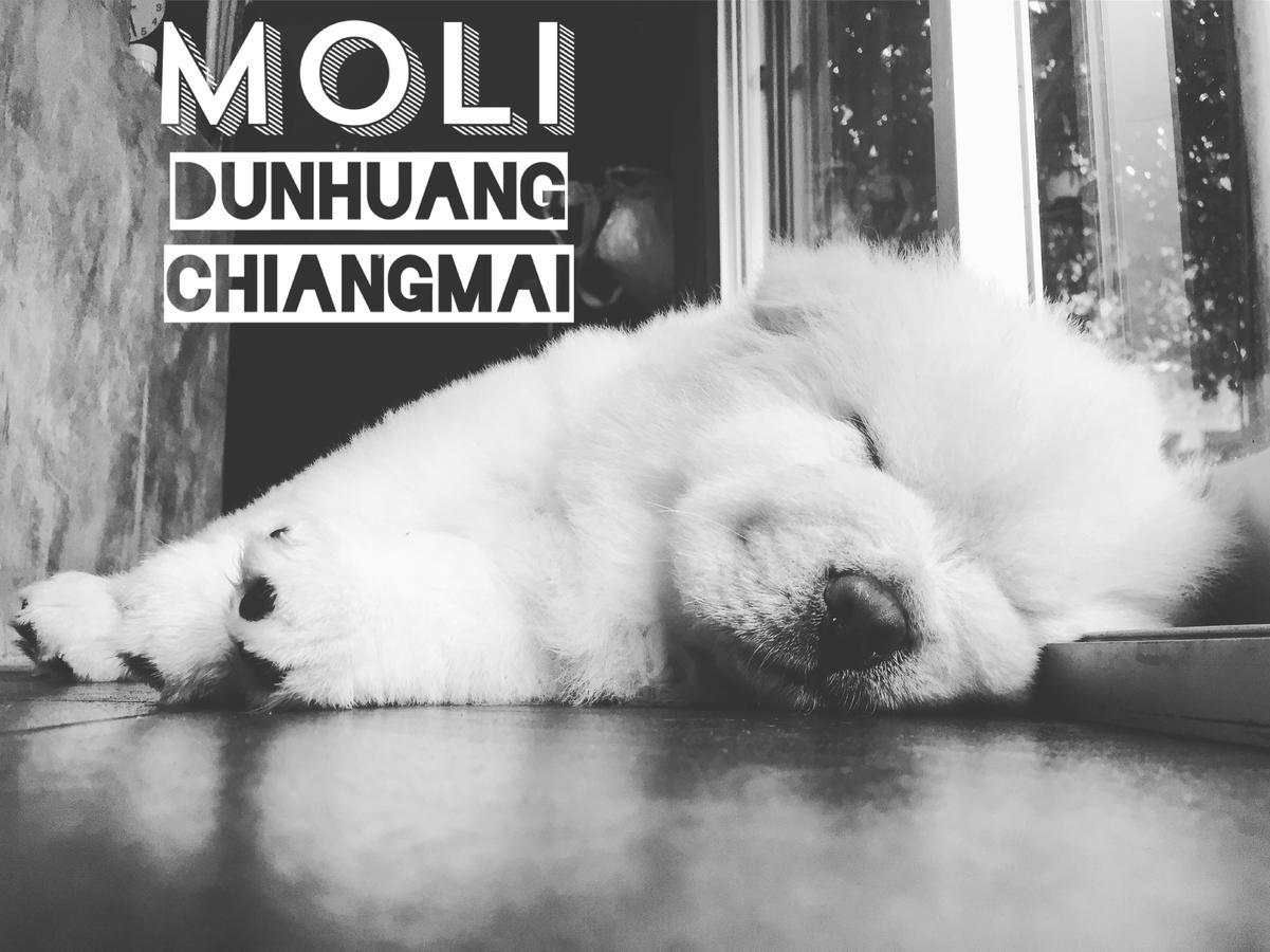Chiangmai Moli Inn (Adults Only) Chiang Mai Luaran gambar